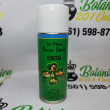 Load image into Gallery viewer, Spray's