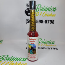 Load image into Gallery viewer, Colonias