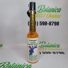 Load image into Gallery viewer, Colonias