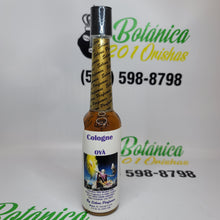 Load image into Gallery viewer, Colonias